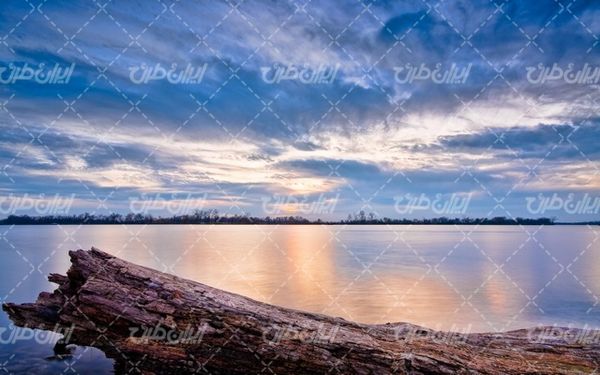 تصویر با کیفیت منظره غروب آفتاب همراه با کنده درخت