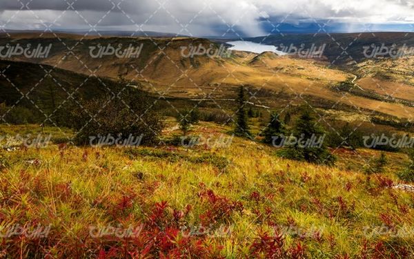 تصویر با کیفیت منظره آسمان ابری همراه با دریاچه و درخت