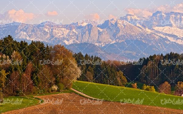 تصویر با کیفیت منظره مزرعه همراه با زمین کشاورزی و کوهستان