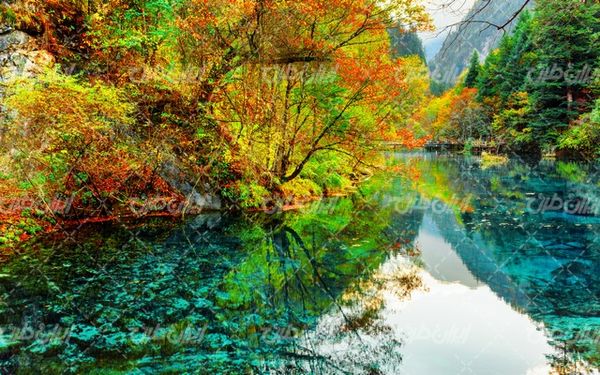 تصویر با کیفیت منظره فصل پاییز همراه با رودخانه و درختان