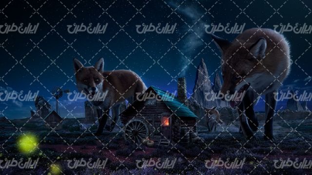 تصویر با کیفیت منظره کلبه چوبی همراه با  گرگ و آسمان شب