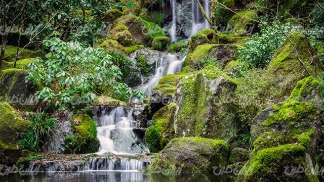 تصویر با کیفیت منظره آبشار همراه با خزه و صخره سنگی
