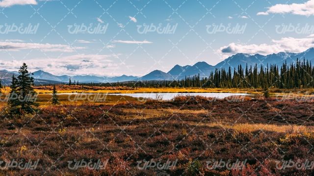 تصویر با کیفیت منظره رودخانه همراه با آسمان آبی و درختان