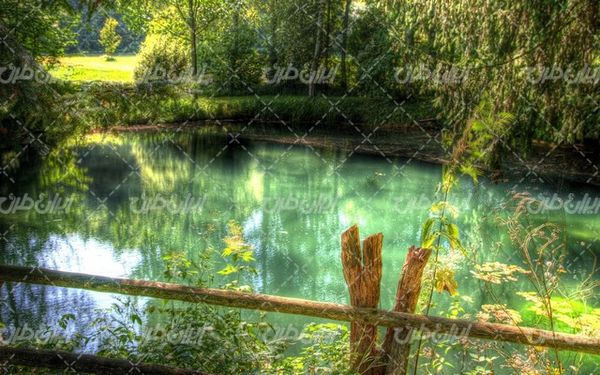 تصویر با کیفیت دریاچه به همراه حصار چوبی و جنگل