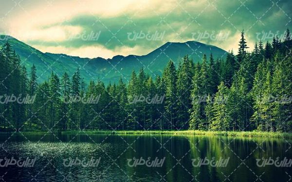 تصویر با کیفیت دریاچه به همراه قله کوه برفی و جنگل انبوه
