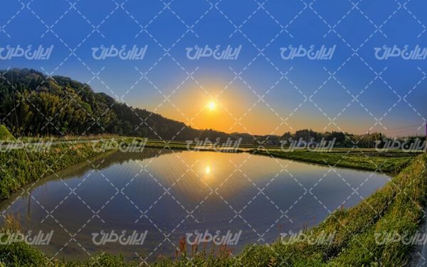 تصویر با کیفیت غروب آفتاب به همراه آسمان آبی و جنگل انبوه