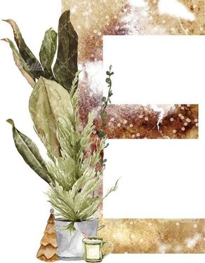 Latin letter