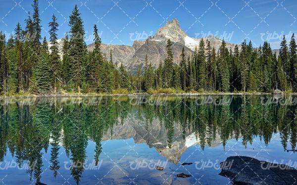 تصویر با کیفیت دریاچه زیبا به همراه آسمان آبی و آب زلال