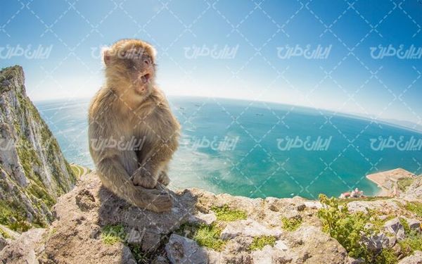 تصویر با کیفیت باغ وحش به همراه حیوان و حیات وحش