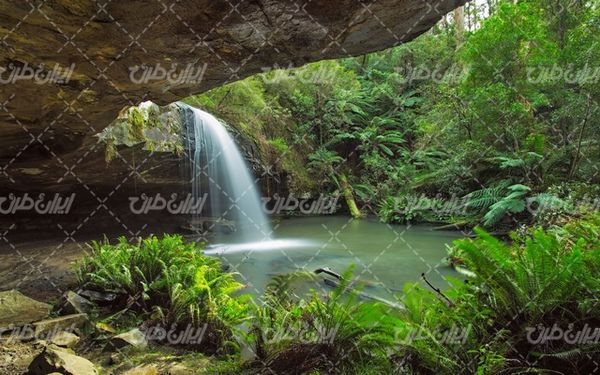 تصویر با کیفیت منظره زیبای آبشار به همراه درخت و طبیعت