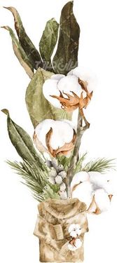 گل و بوته