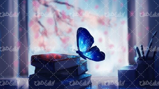 تصویر با کیفیت پروانه به همراه کتاب روی هم قرار گرفته و نوشت افزار