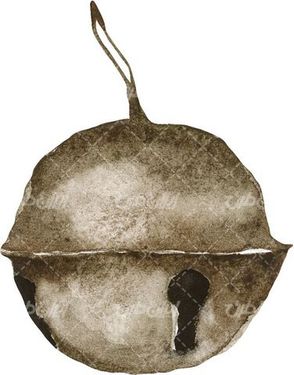 میوه بلوط