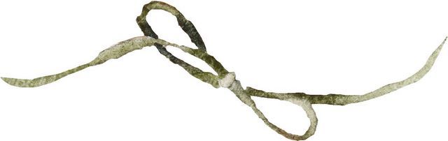 عناصر طراحی