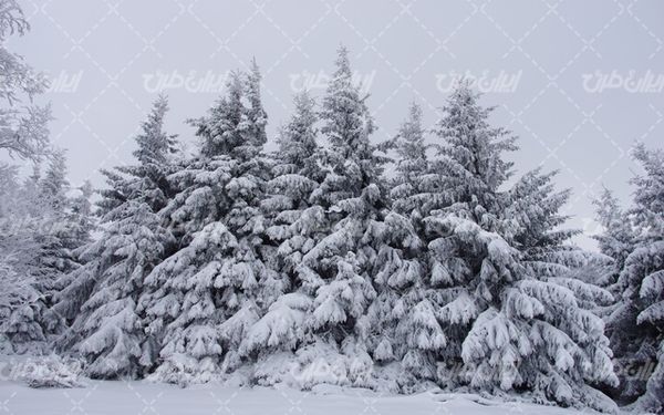 تصویر با کیفیت چشم انداز زیبای برفی به همراه منظره زیبا و طبیعت