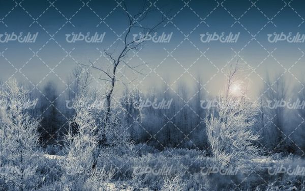 تصویر با کیفیت چشم انداز زیبای طبیعت برفی به همراه منظره زیبا و طبیعت