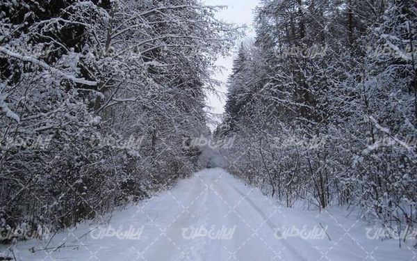 تصویر با کیفیت فصل زمستان به همراه منظره زیبا و طبیعت برفی