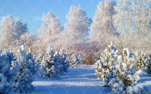 تصویر با کیفیت فصل زمستان به همراه منظره زیبا و طبیعت برفی