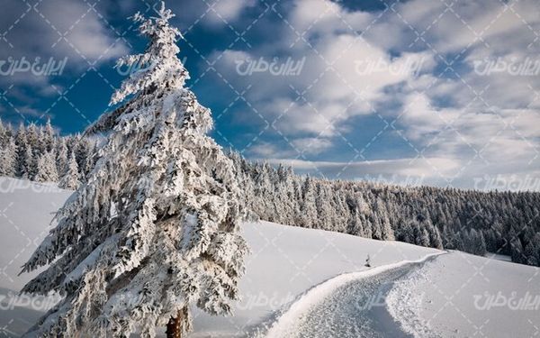 تصویر با کیفیت فصل زمستان به همراه منظره زیبا و طبیعت برفی