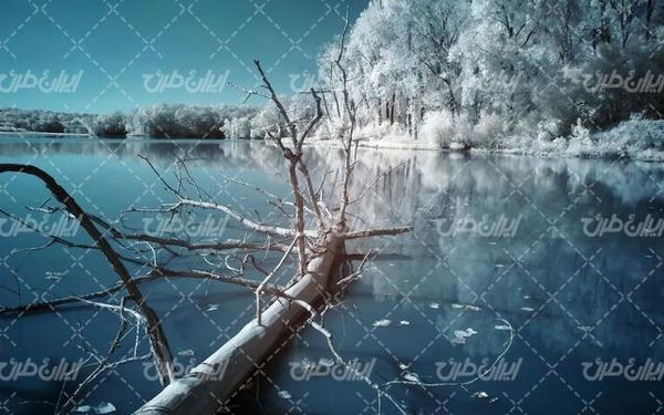 تصویر با کیفیت زمستان به همراه منظره زیبا و طبیعت زیبای برفی