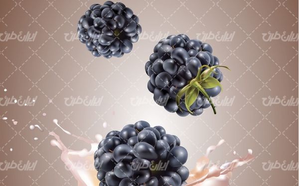 تصویر با کیفیت میوه استوایی به همراه شاه توت و تمشک سیاه