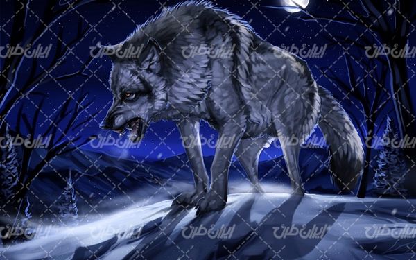 تصویر با کیفیت حیوان وحشی به همراه شب مهتابی و فصل زمستان