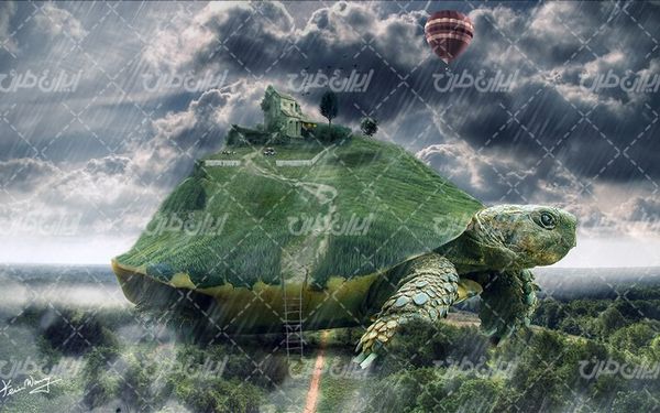تصویر با کیفیت لاکپشت همراه با باران انبوه و بالون رنگارنگ