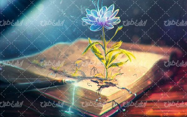 تصویر با کیفیت کتاب قدیمی به همراه گل و بوته و خودنویس