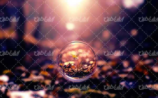 تصویر با کیفیت حباب زیبا به همراه شیشه و فصل پاییز