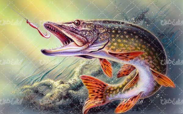 تصویر با کیفیت نقاشی ماهی به همراه چنگه قلاب ماهیگیری و دریا