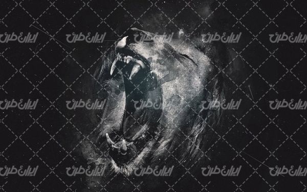 تصویر با کیفیت پس زمینه به همراه بک گراند و تصویر زمینه