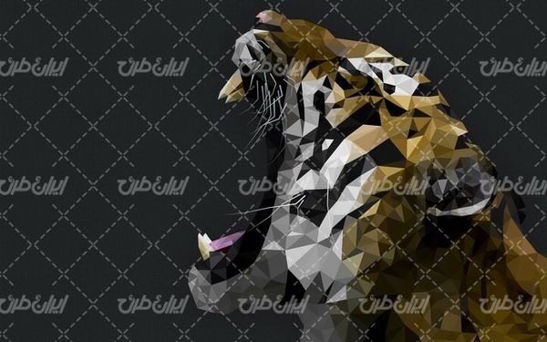 تصویر با کیفیت والپیپر به همراه تصویر زمینه و بک گراند گرافیکی