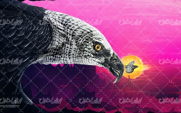 تصویر با کیفیت پرنده شکاری به همراه تصویر زمینه و بک گراند گرافیکی