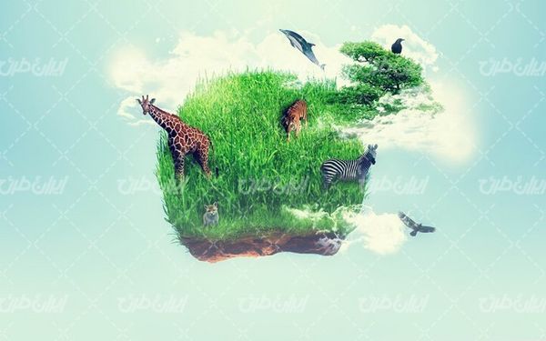 تصویر با کیفیت حیات وحش به همراه حیوانات جنگل  و آسمان آبی
