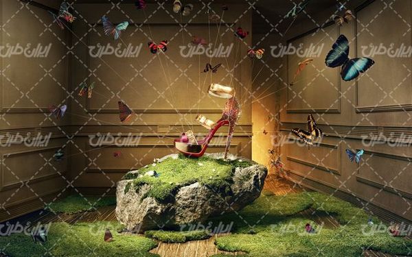 تصویر با کیفیت کفش پاشنه بلند به همراه کفش لج دار