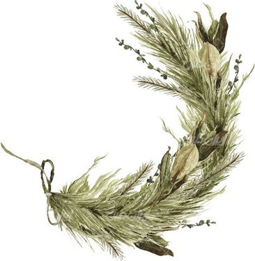 شاخه کاج