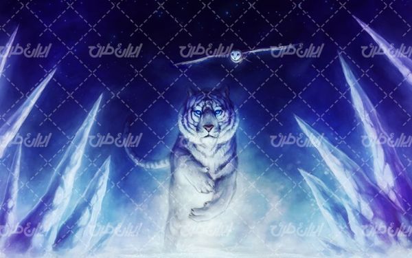 تصویر با کیفیت والپیپر به همراه تصویر زمینه و بک گراند گرافیکی