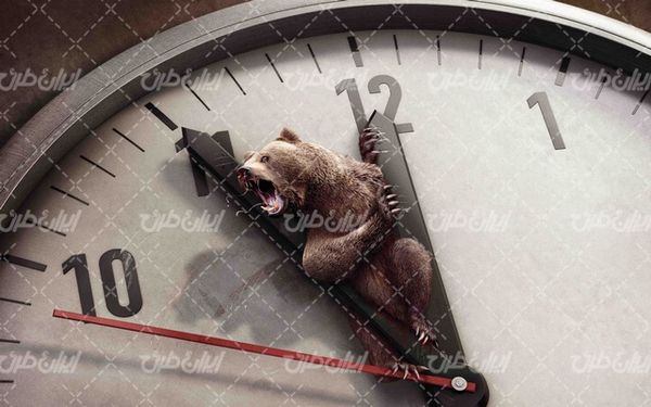 تصویر با کیفیت خرس خشمگین به همراه عقربه های ساعت دیواری