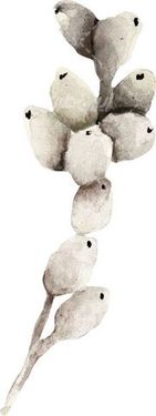 گل