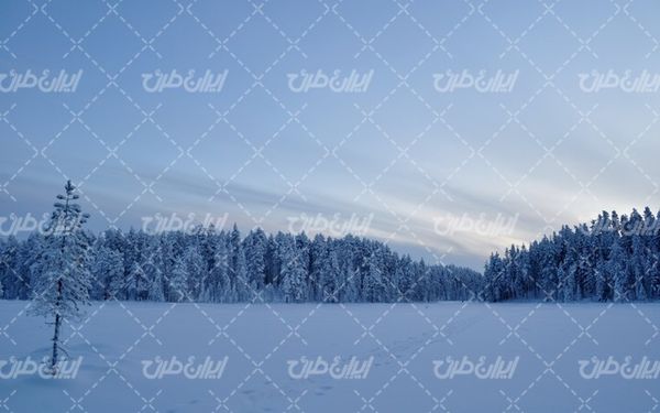 تصویر با کیفیت طبیعت فصل زمستان به همراه برف و طبیعت