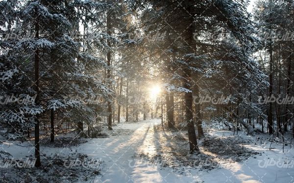 تصویر با کیفیت چشم انداز زمستان به همراه فصل زمستان و طبیعت