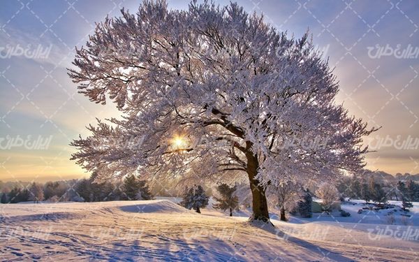 تصویر با کیفیت منظره زمستان به همراه فصل زمستان و چشم انداز برفی