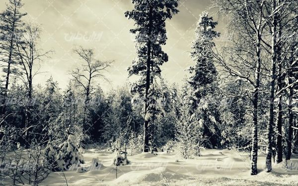 تصویر با کیفیت طبیعت زیبای زمستان به همراه فصل زمستان و چشم انداز برفی