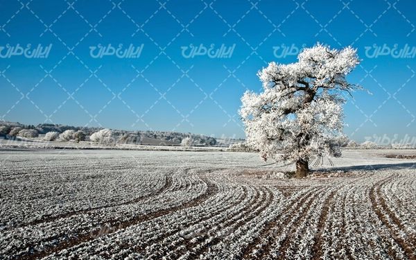 تصویر با کیفیت منظره جشم نواز برفی به همراه فصل زمستان و چشم انداز برفی