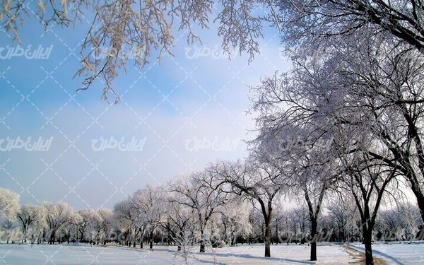 تصویر با کیفیت منظره فصل زمستان به همراه فصل زمستان و چشم انداز برفی