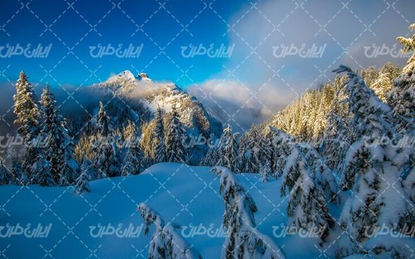 تصویر با کیفیت منظره فصل زمستان به همراه فصل زمستان و چشم انداز برفی