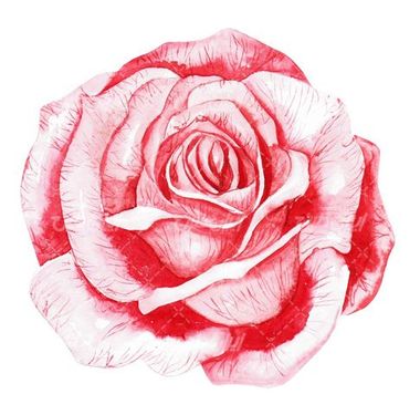 flower bud