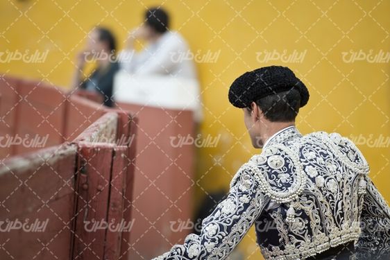 گاو بازی