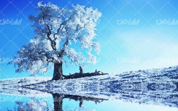 تصویر با کیفیت چشم انداز زیبای برفی به همراه برف و طبیعت برفی