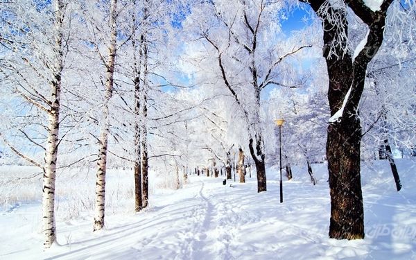 تصویر با کیفیت منظره زیبای زمستان به همراه برف و طبیعت برفی